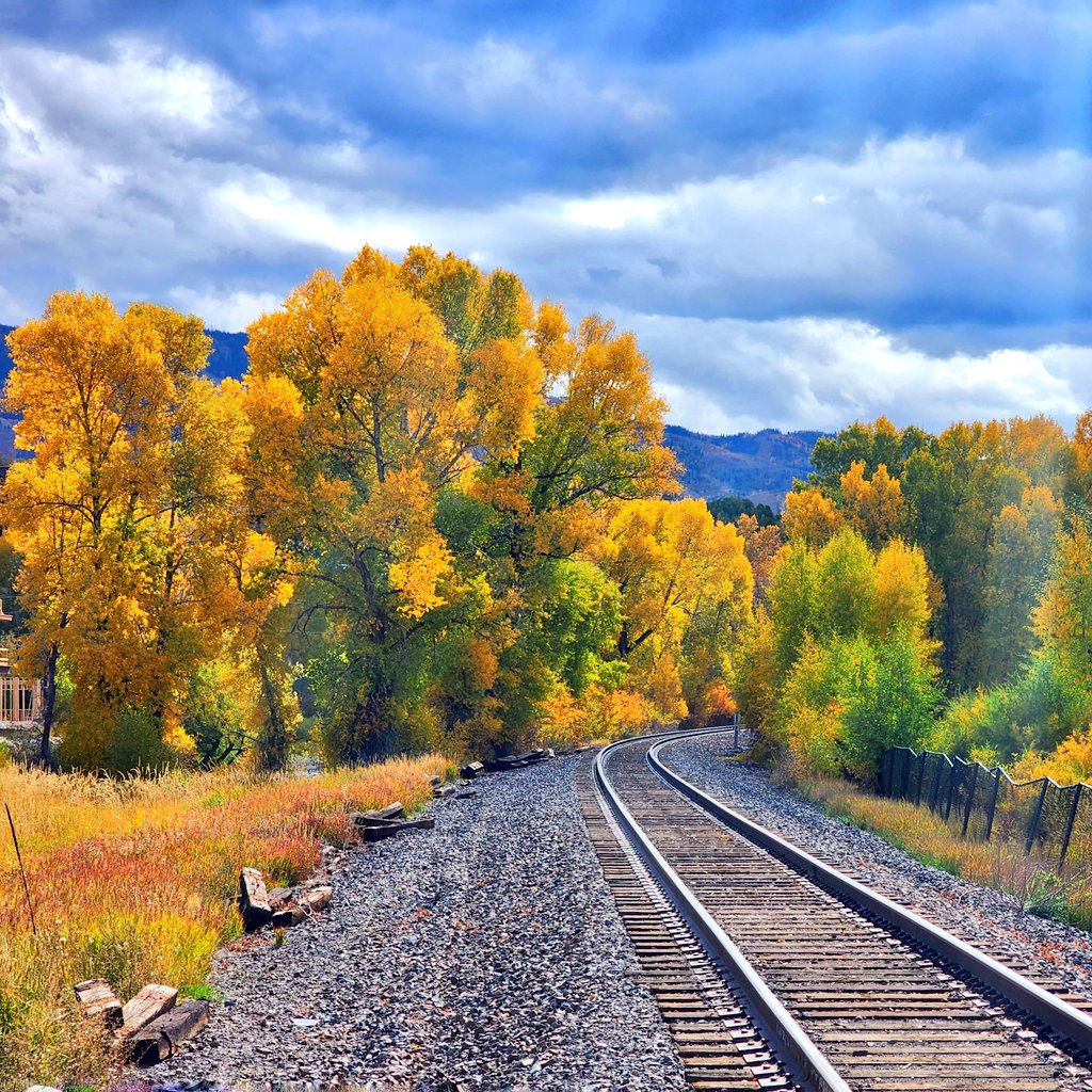 Fall colors in Steamboat Springs, #Colorado. 

#leafpeeping