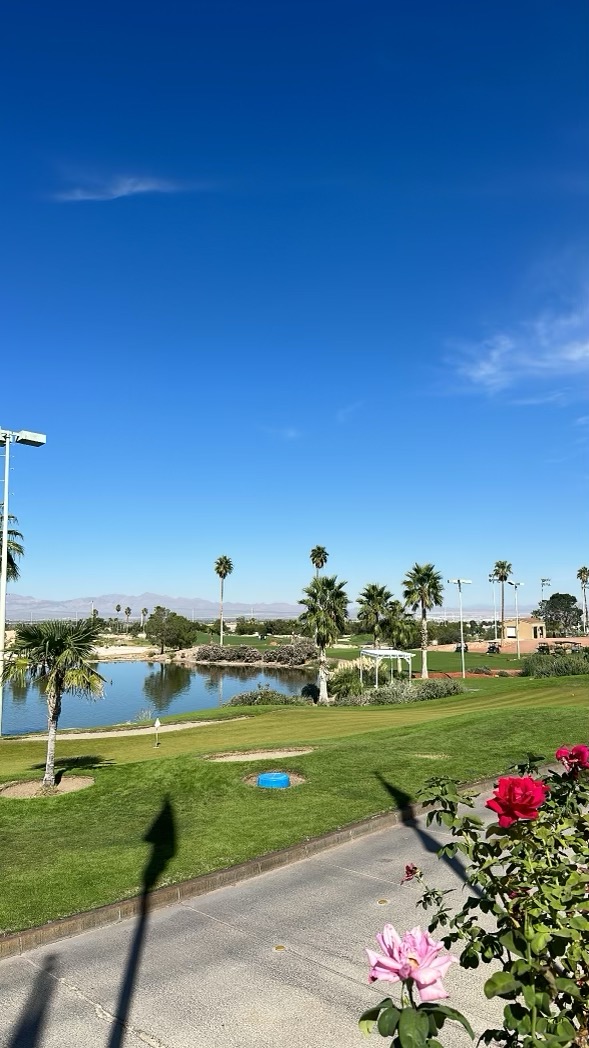 iskyboards's tweet photo. Beautiful day for a round of golf @angelparkgolf https://t.co/Jto2JJCTn9
