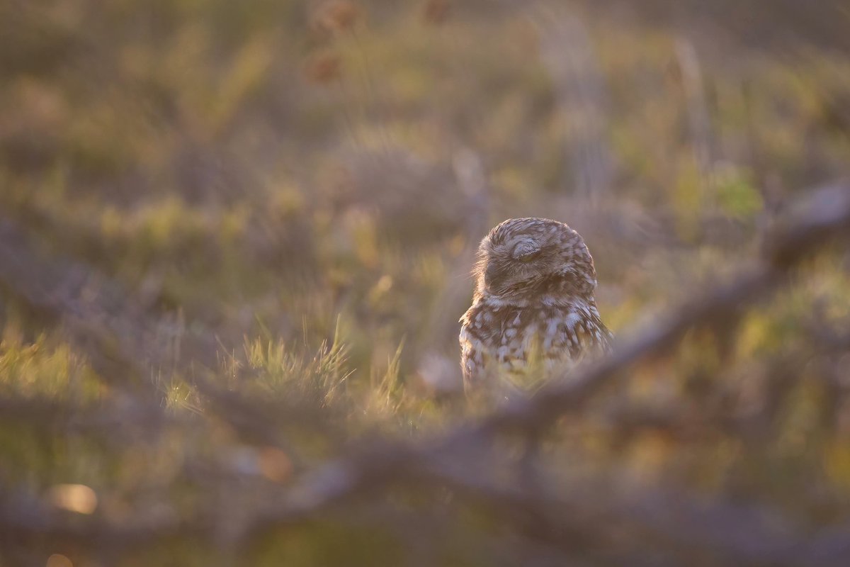 Eric Balcanoff tweet media