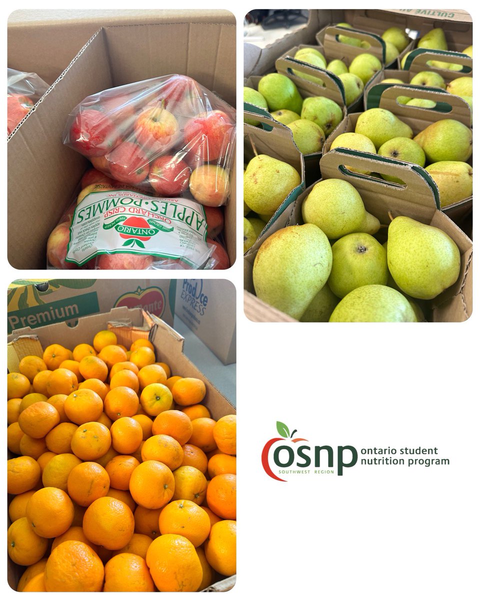 We are better together 🤝 

➡️ Our partners at <a href="/CLASS_ckla/">CLASS</a> joined us today to share a fun and engaging presentation on bus safety

➡️ Our first SFD delivery from <a href="/OSNPsouthwest/">OSNP - Southwest</a> arrived today. Beautiful clementines and pears to keep our students fueled up and ready to learn!