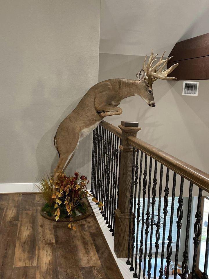 TheChadColby's tweet photo. Not a deer hunter, but that’s SO cool!     

(fb post) https://t.co/om5UL7Vd7E