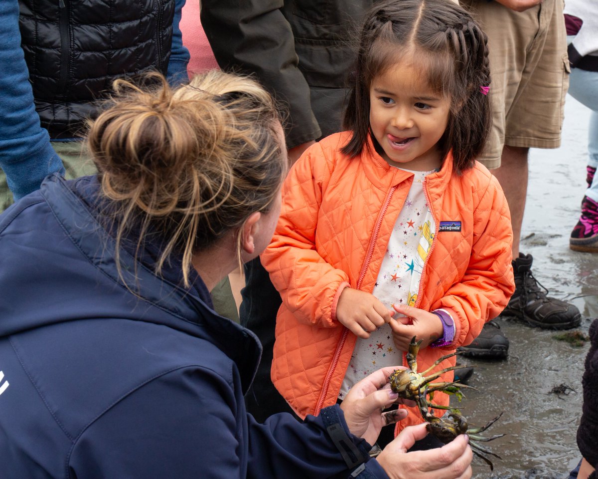 SeacoastSciCtr's tweet photo. Going through data collected &amp; photos taken at #BioBlitz on 9/23/23. Taking a moment to thank the participants, experts, staff, volunteers, sponsors &amp; partners &amp; sharing a fav photo from Young Pups Photography. #thankyou #inspiringconservation #wildlifeconservation #biodiversity https://t.co/y2uoiqBoDH
