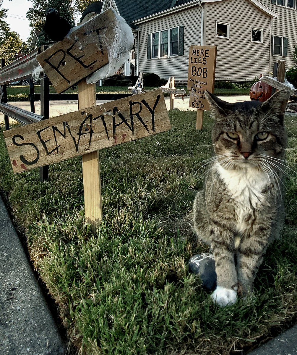 Popping back on here just to shoot this into the ether in hopes <a href="/StephenKing/">Stephen King</a> sees it gets a kick out of it. Local stray, Also Jeff, doing his best Church impression in my Halloween Pet Sematary setup. #PetSematary #StephenKing #Halloween