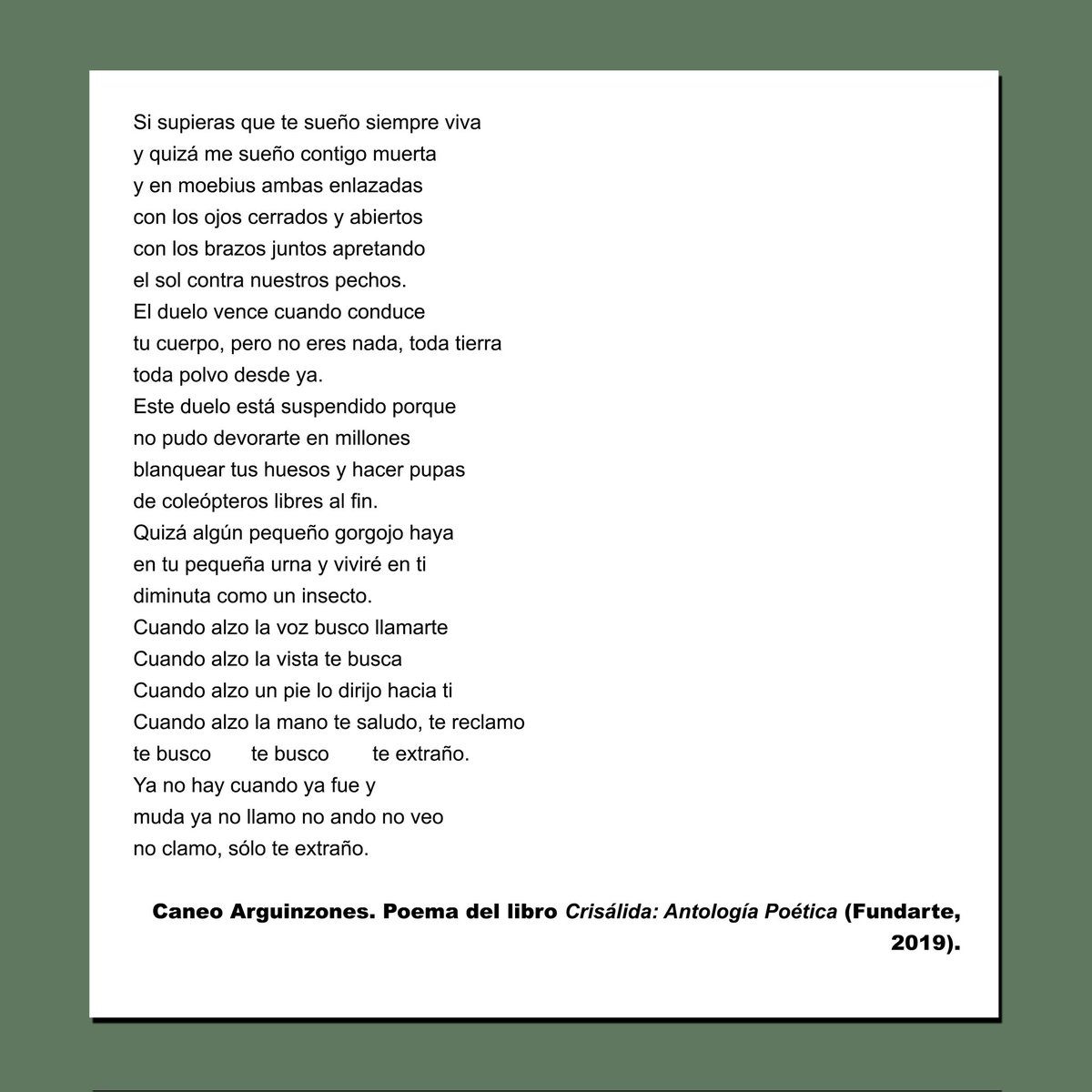 "Si supieras que te sueño siempre viva 
y quizá me sueño contigo muerta 
y en moebius ambas enlazadas 
con los brazos juntos apretando
el sol contra nuestros pechos..."

Caneo Arguinzones (Caracas, 1987 - 2014).