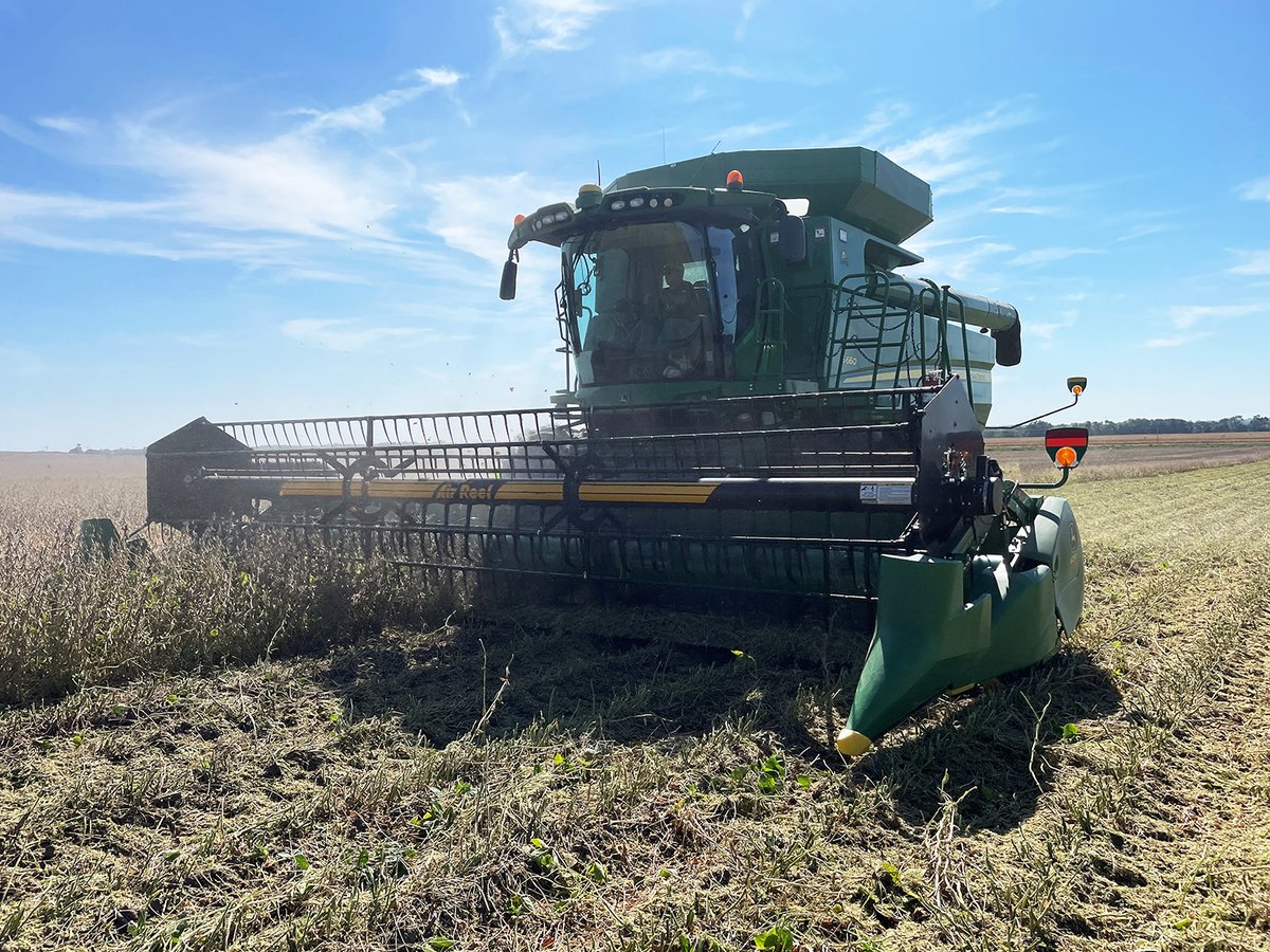 PVseed's tweet photo. Nelson Family Farms taking out a soybean plot in Boelus, Nebraska today! #growwithoutlimits https://t.co/eGXD4A4nVF