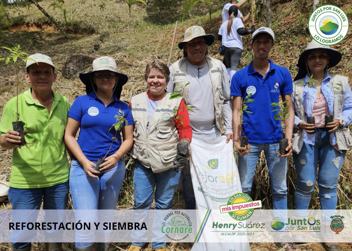 Henryesuarez's tweet image. ¡Juntos Por San Luis LO LOGRAMOS!  ✅ ¿Sabías que durante este cuatrienio sembramos 110.609 árboles en diferentes predios que suman 146.2 hectáreas?. Gracias a convenios de reforestación con entidades como #Gobernación, #Priser, #RIA, el proyecto #BosquesDePaz,  entre otros.