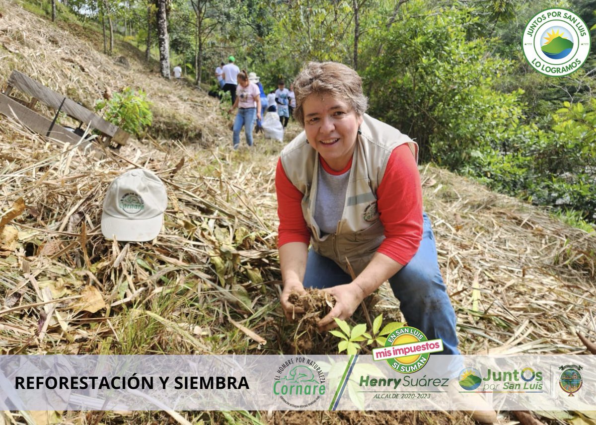Henryesuarez's tweet image. ¡Juntos Por San Luis LO LOGRAMOS!  ✅ ¿Sabías que durante este cuatrienio sembramos 110.609 árboles en diferentes predios que suman 146.2 hectáreas?. Gracias a convenios de reforestación con entidades como #Gobernación, #Priser, #RIA, el proyecto #BosquesDePaz,  entre otros.