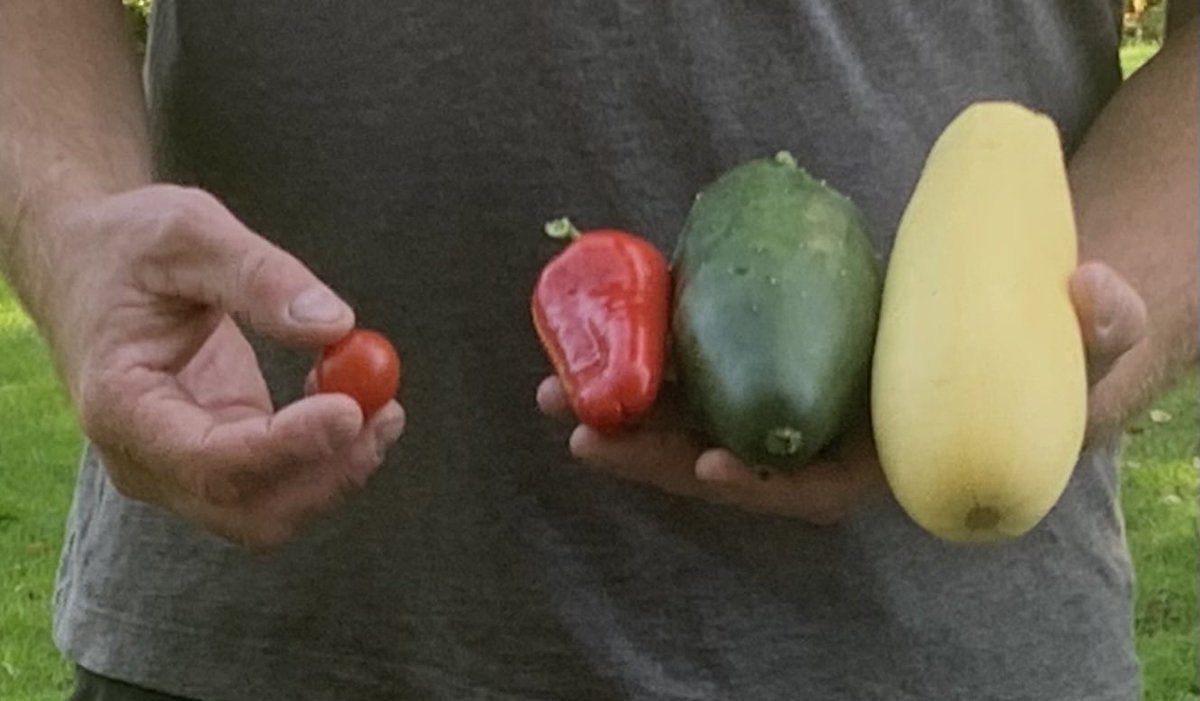 Jennifer Conklin tweet media