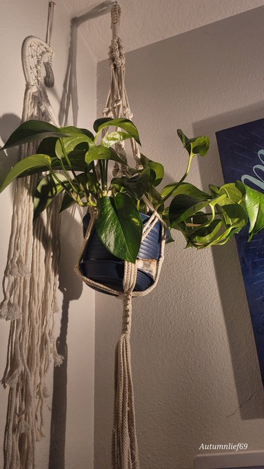 @Florennes happy Monday! Hope it was quick and painless. https://t.co/5XoL4ViouC<a class="tags" target="_blank" title="On Twitter" href="/?out=eyJ0eXAiOiJKV1QiLCJhbGciOiJIUzUxMiJ9.eyJpYXQiOjE3MjU3NDc3NzIsImlzcyI6InR3cG9ybnN0YXJzLmNvbSIsIm5iZiI6MTcyNTc0Nzc3MiwiZXhwIjoxNzU3MjgzNzcyLCJyZWRpcmVjdF91cmwiOiJodHRwczovL3R3aXR0ZXIuY29tL0Zsb3Jlbm5lcyJ9.L-hC3Ch5PtSTHCuqOBnX0QIwFfzXnIz8MJjfsYHJLxZ_1RWuPBf5cdvIyPDPjbpW3aoB9JghwGXjGJCCIvWBnQ">@Florennes</a><a href="/tag/myxanniversary"class="tags"><span>#myxanniversary</span></a>