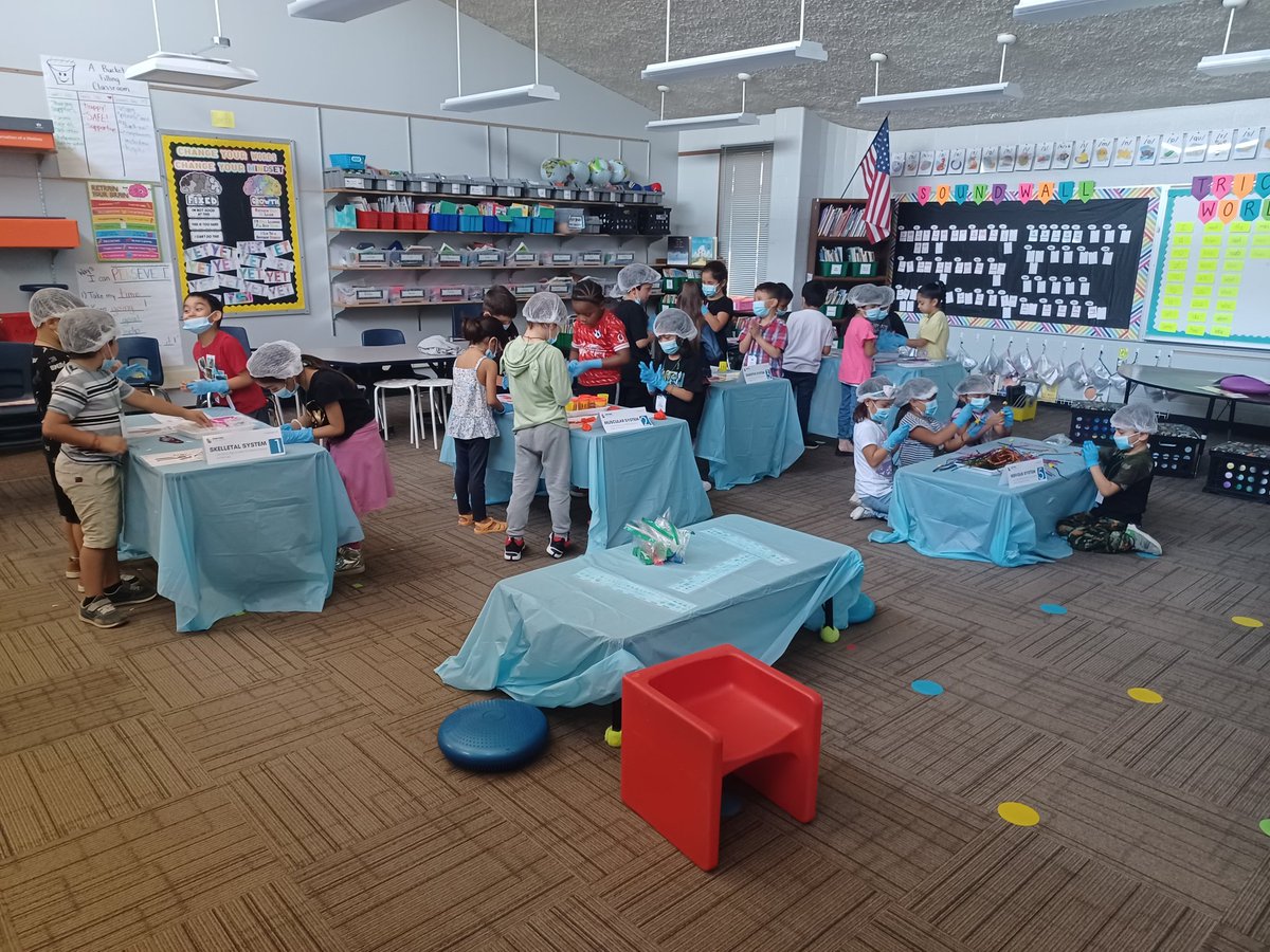 Sully_0301's tweet photo. Our review of body systems prepared us for the big event- Doctor Day! Students put their #knowledge of @Amplify #CKLA Domain 2- The Human Body to the test! We had two separate "Operating Rooms"- one for knowledge and one for skills. Here's a peek into the Knowledge OR! #iamkckps https://t.co/SkgFdGTM58