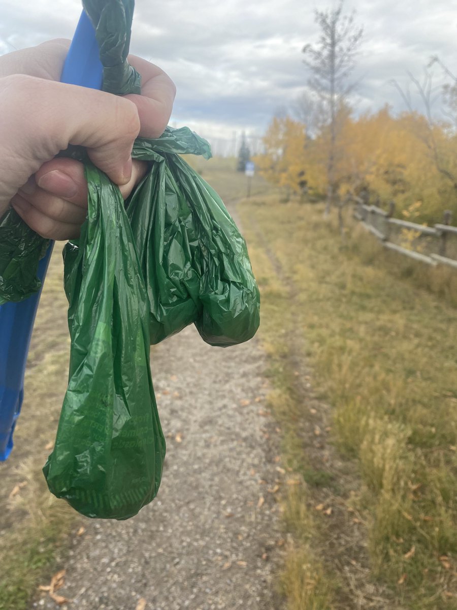 ScottyMcArthur's tweet photo. The count of humans who didn’t pick up after their dogs this morning ⁦@RiverParkDogs⁩ ?

Four. Either on or right beside the path

We walk our dogs cuz we love them

Let’s do better https://t.co/o5bY1El1Xn