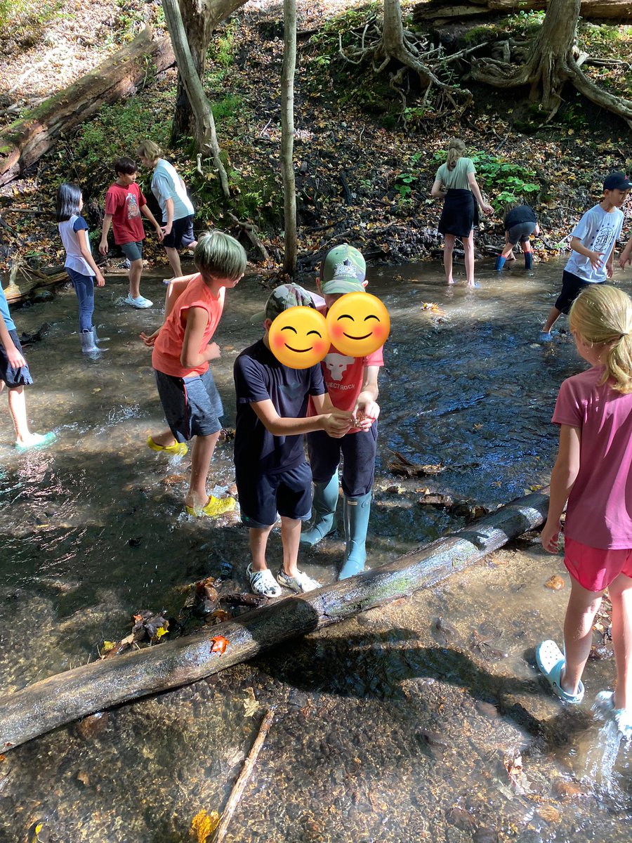 Team building + STEM activities + nature = such a great day. Thank you @CampKeeMoKee for a fantastic day outdoors with our junior students @mountsfieldps