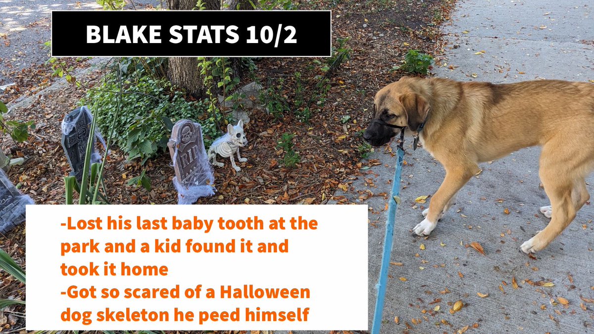 PFTCommenter's tweet photo. #BlakeStats https://t.co/WdOIX6ty8e