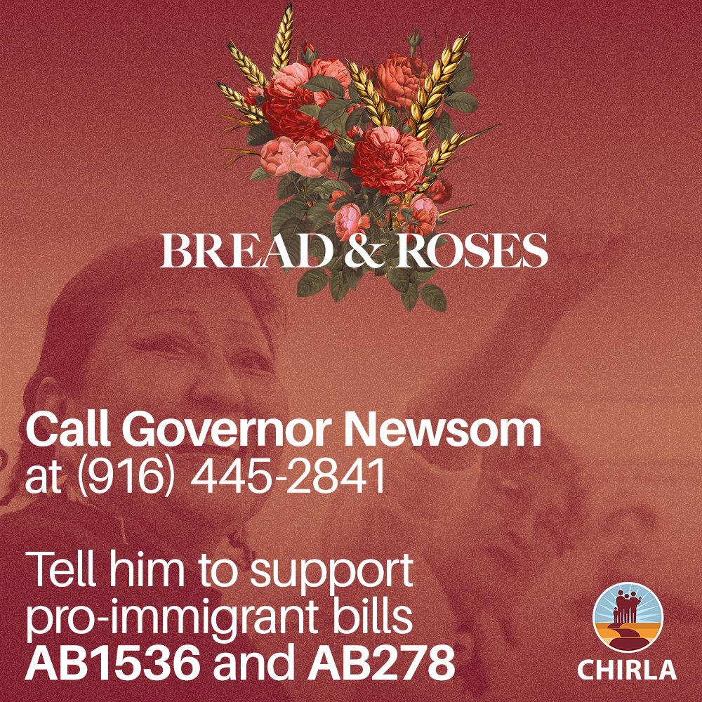 CHIRLA's tweet photo. LA ➡️ Sacramento ✊🏽 Fighting the good fight to tell @CAgovernor to give immigrants bread, but to give us roses too!🌹
We envision a CA where immigrants from all walks of life can thrive. Help us get there! Call @GavinNewsom @ 916-45-2841 & tell him to sign #AB1536 & #AB278! https://t.co/sM0fOHq1d6