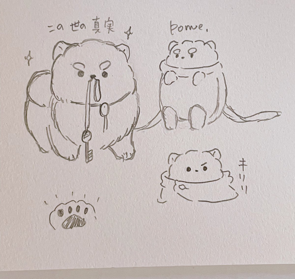 双翼でしおさんに描いて貰ったぽめびん🥰可愛い癒やし……😭❤️キリッ✨