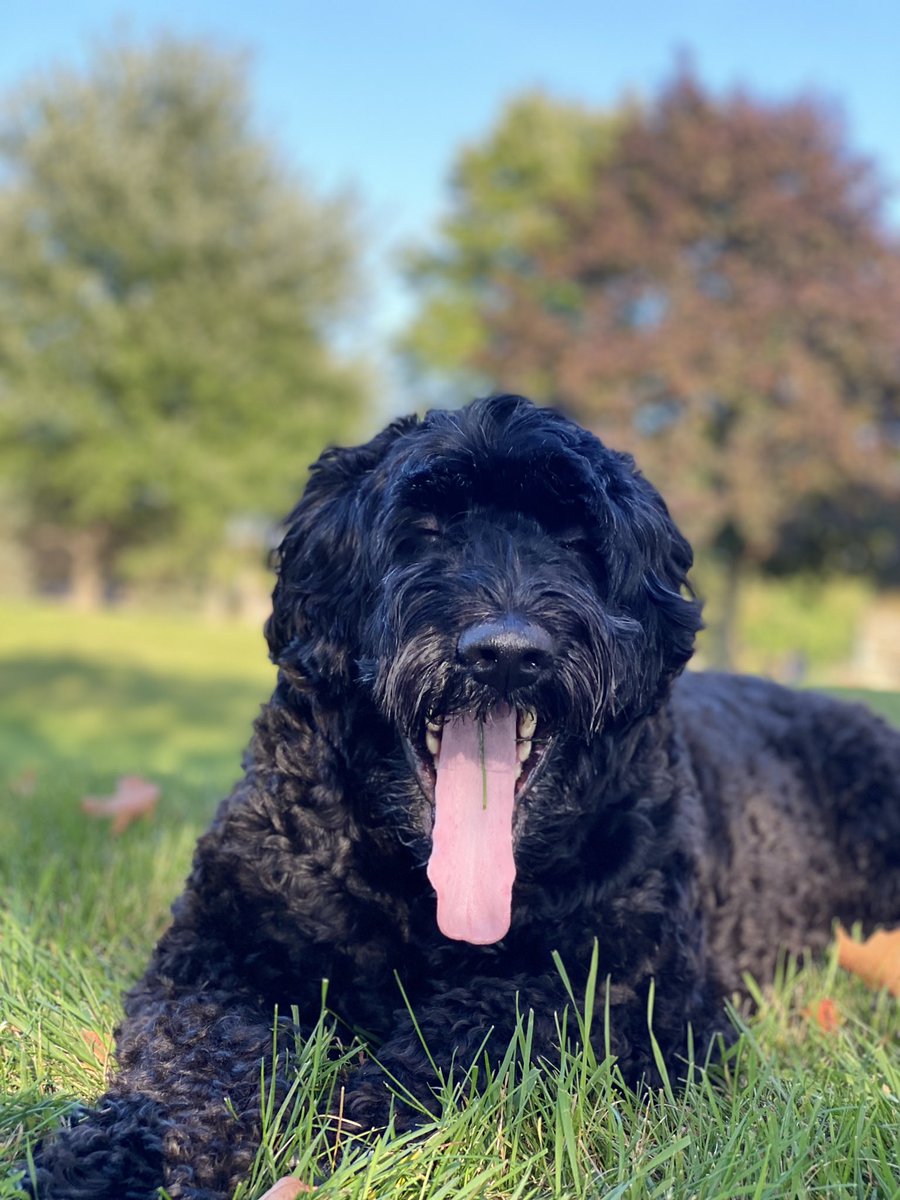 PerliniSurrey's tweet photo. Do you think I have a big tongue 👅 https://t.co/Laaa9FDOUc