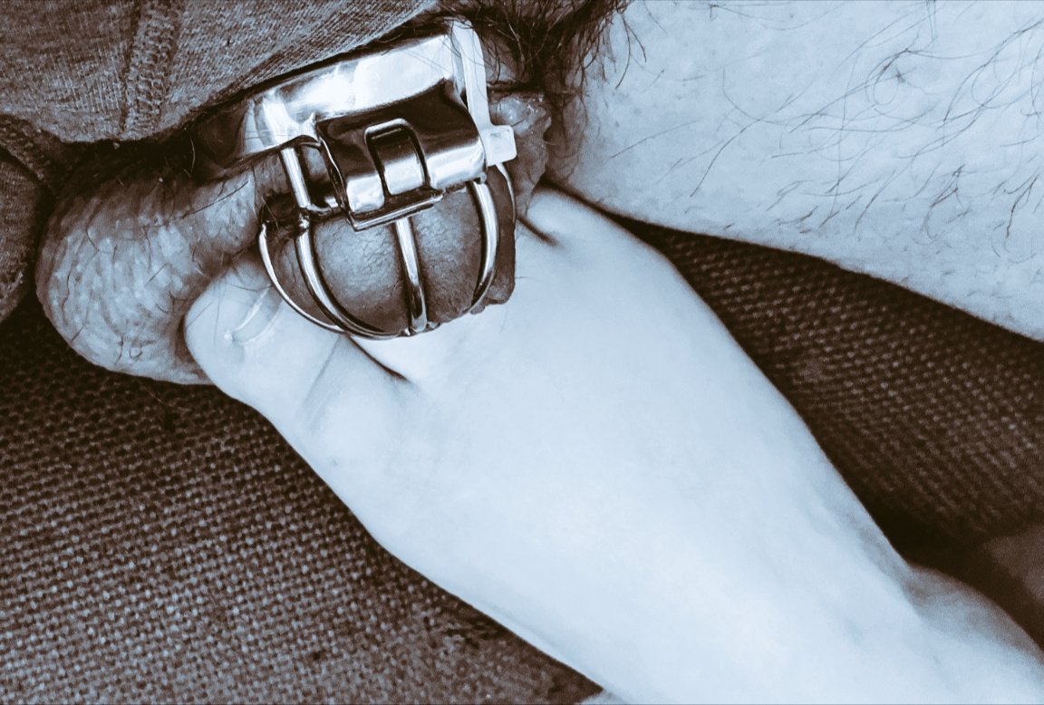 SubXlblaze tweet media