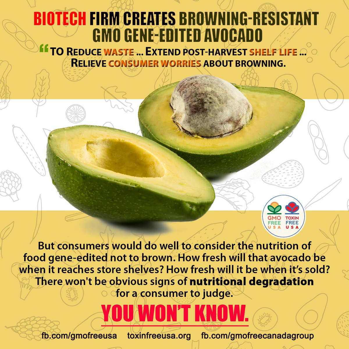 GMOFreeUSA's tweet photo. Just what we need -- old avocados! https://t.co/A9Ngj5SCX4 https://t.co/mDVe6JiBtX
