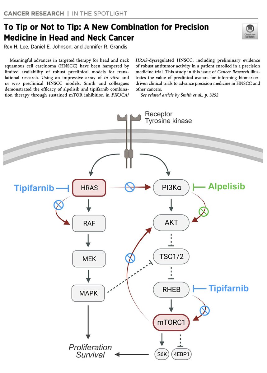 To tip or not to tip? Check out our commentary in <a href="/CR_AACR/">Cancer Research</a> on a new <a href="/kuraoncology/">Kura Oncology</a> study for combination therapy in PIK3CA/HRAS-dysregulated HNSCC. <a href="/UCSF_OHNS/">UCSF Otolaryngology | Head and Neck Surgery</a> <a href="/JenniferGrandis/">Jennifer Rubin Grandis</a> aacrjournals.org/cancerres/arti…