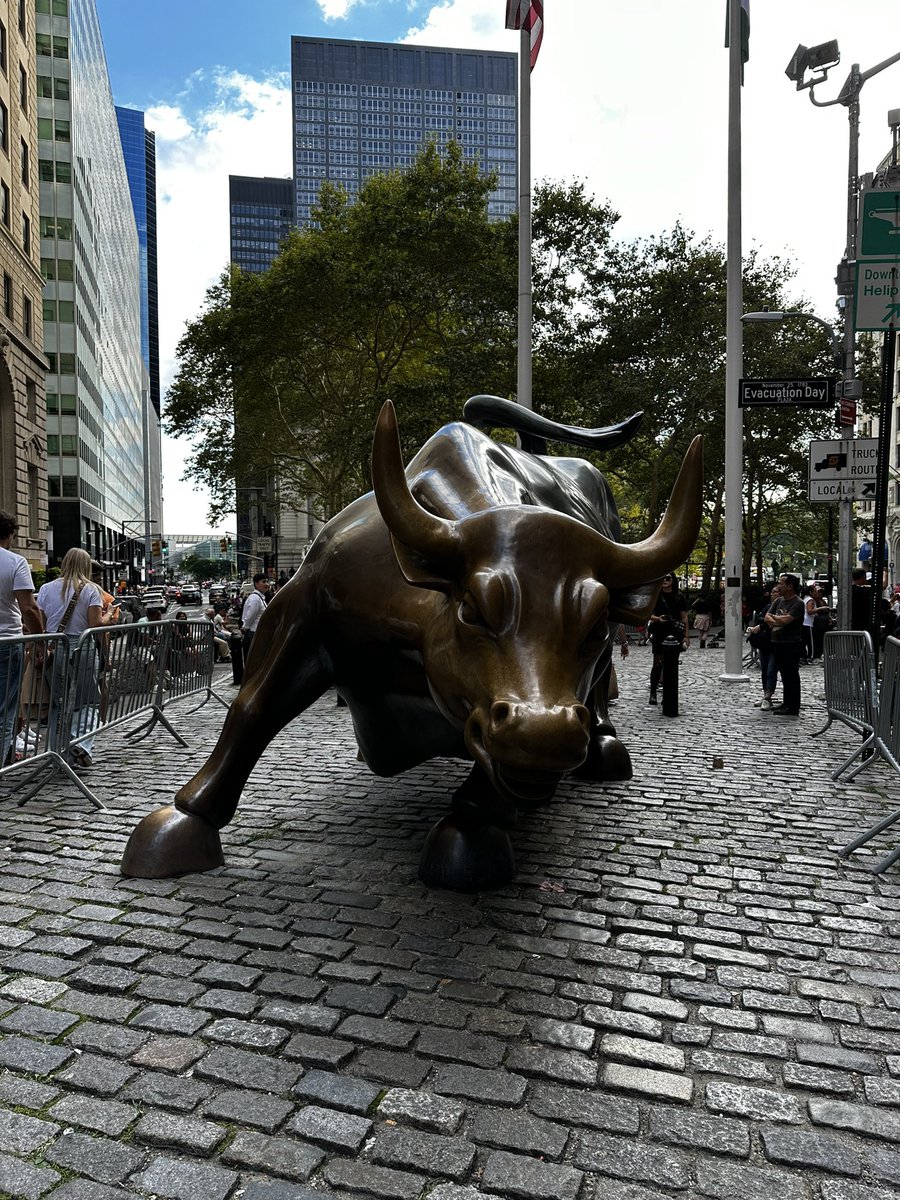 piagazal's tweet photo. Que viva el bullish #Bullish #Bull #NYC https://t.co/JAVjYpoCxc