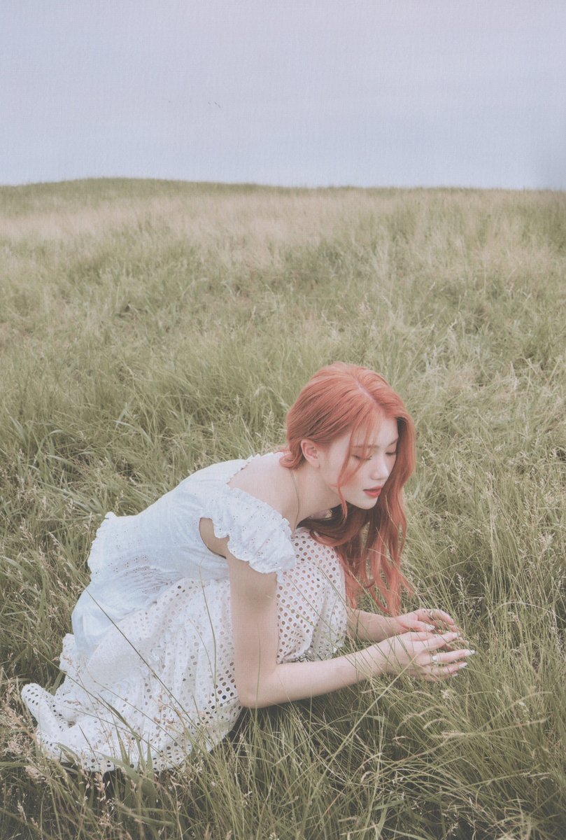 xiaotingpics's tweet photo. she owns this concept https://t.co/Cy8EXy8NWC