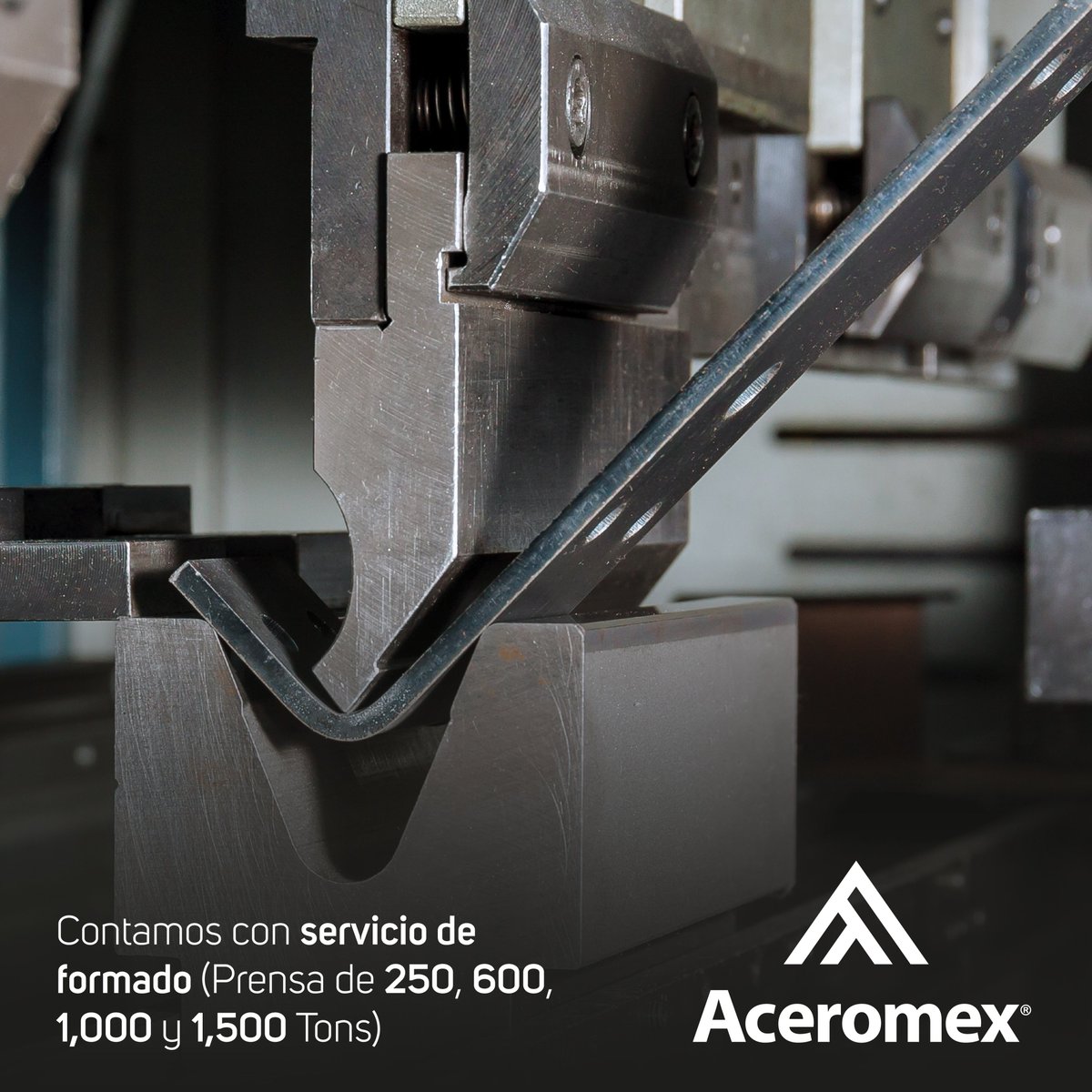 Servicio de Formado | Aceromex ®

En Aceromex contamos con servicio de formado (Prensa de 250, 600, 1,000 y 1,500 Toneladas) ⚙️

Utilizamos maquinaria de última generación para garantizar una precisión milimétrica en cada formado de acero. ✅