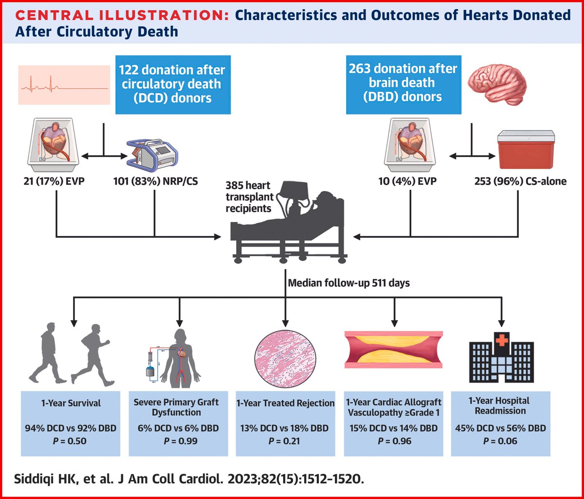 心臓移植において、臓器摘出のタイミングが脳死後と心停止後（主に体外潅流併施）との間で、術後１年の生存率、移植臓器機能不全、拒絶反応に有意差みられず。
jacc.org/doi/10.1016/j.…