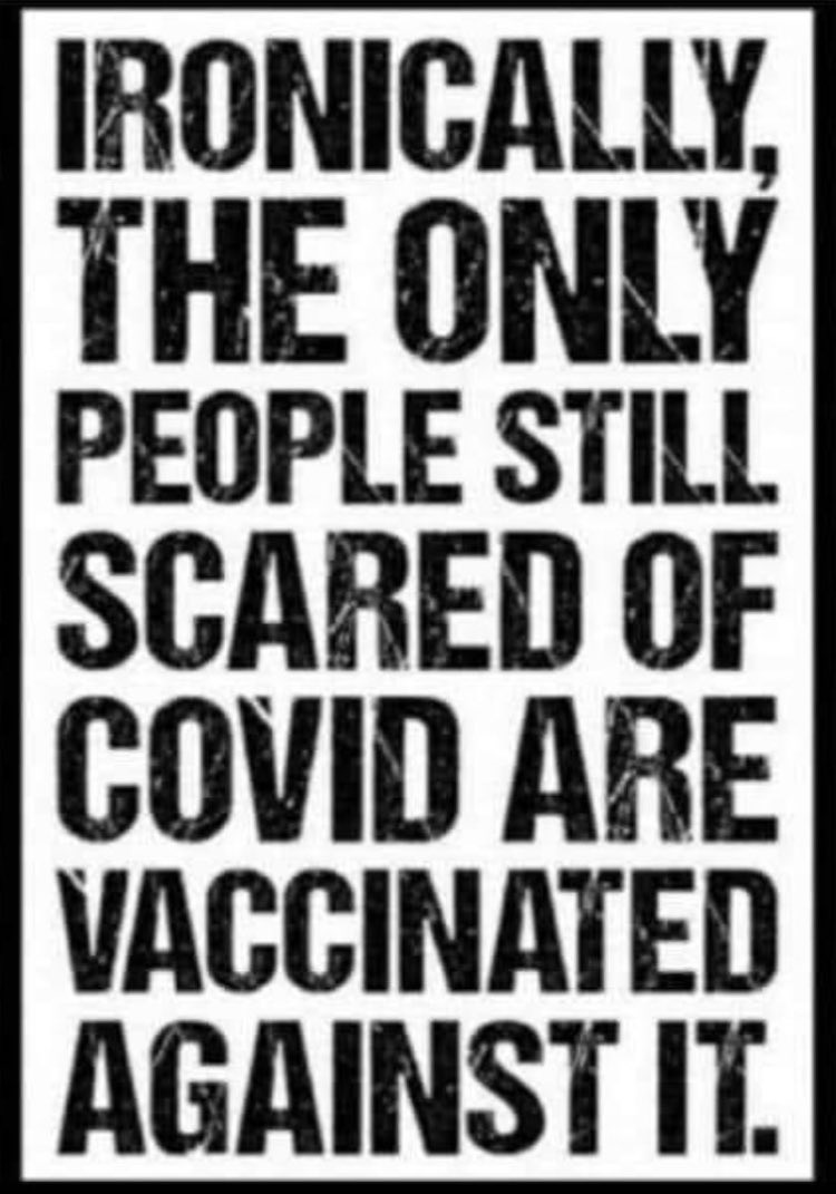 Heather🇨🇦 (@heather09332768) on Twitter photo 