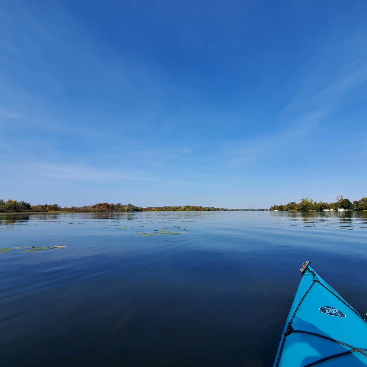 CherMarieSmith's tweet photo. The trees are showing signs of #Autumn but the weather and water aren't. 27C on Oct 2nd = restorative afternoon #kayaking and swimming on the Rideau River in #Ottawa. #NatureIsMedicine #mentalhealth #OttWeather https://t.co/16UuqgoaCX