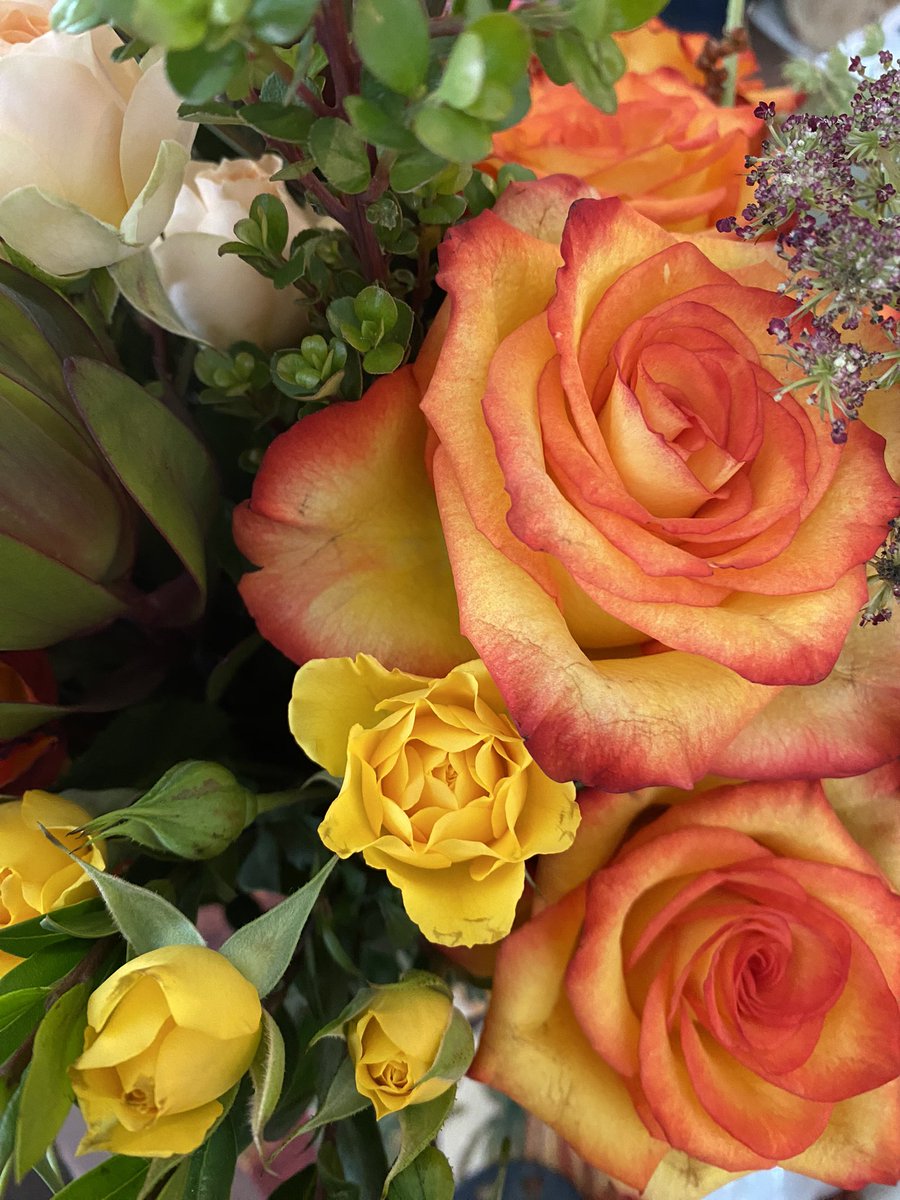 L (@blooming_words) on Twitter photo 