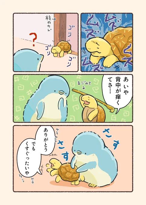 甲羅をみがいてあげるジェンひなちゃん(1/2)