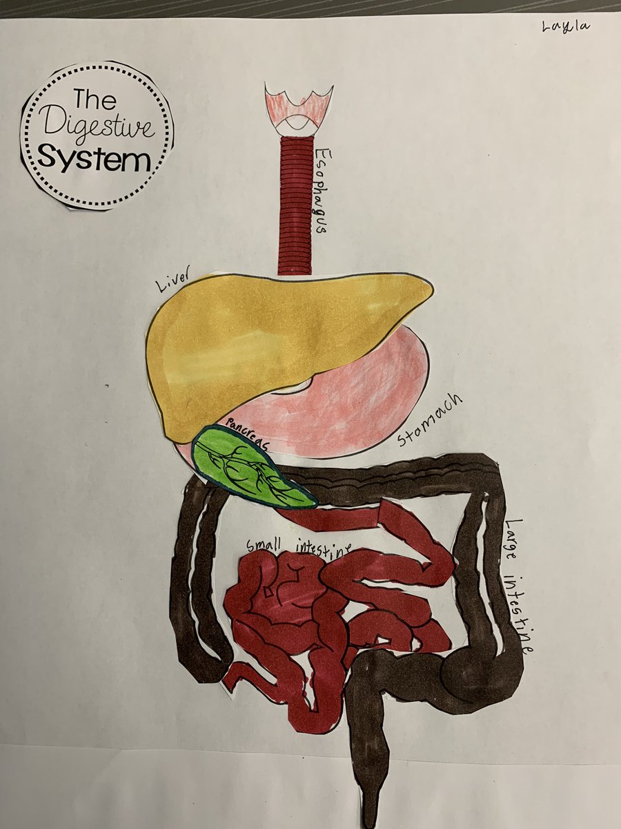 Heidi Furtner tweet media