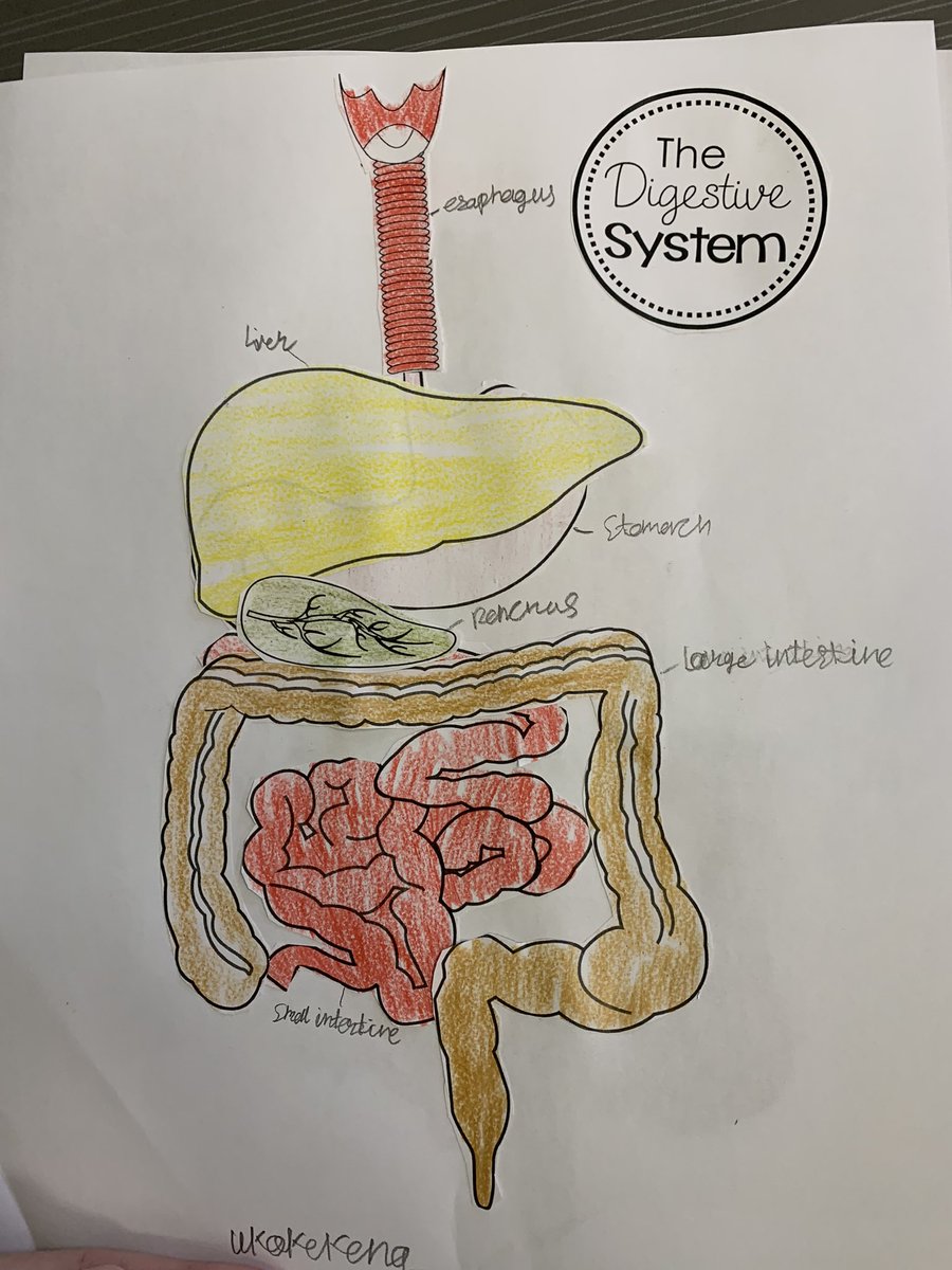 Heidi Furtner tweet media