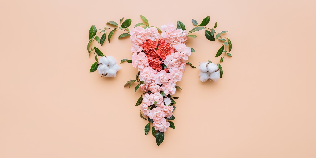 Hudson Institute of Medical Research tweet media