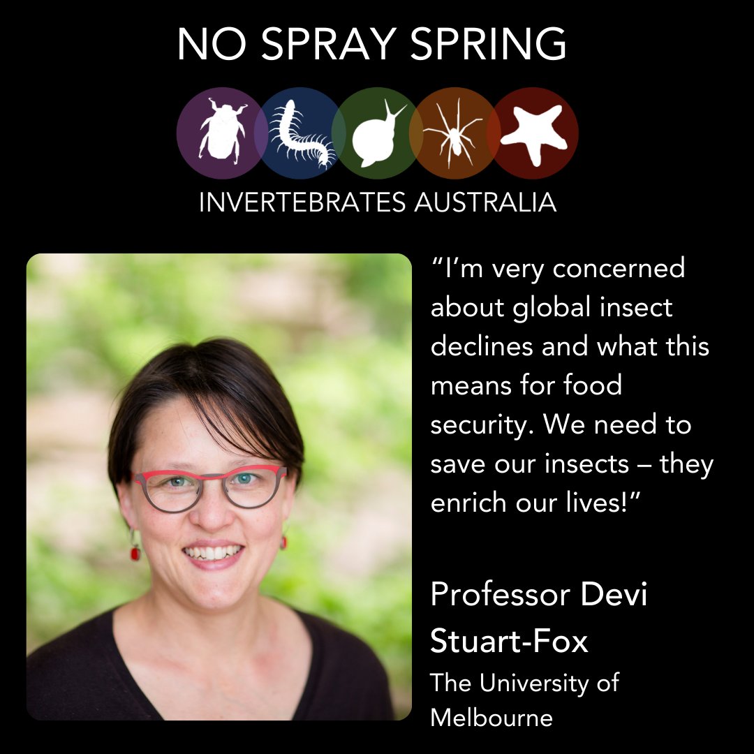 We asked some of our favourite invertebrate enthusiasts what #NoSpraySpring means to them. Here is what the wonderful Professor Devi Stuart-Fox from @BioSci_UniMelb said. devistuartfox.com/people/