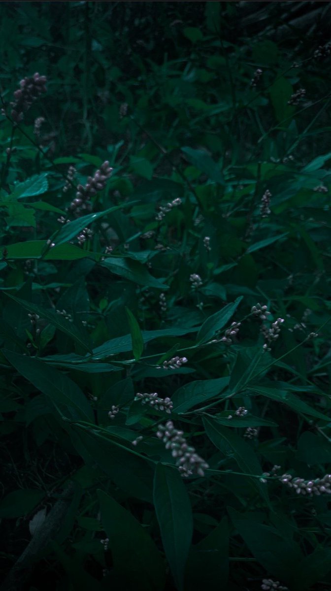 ariel ❀ tweet media