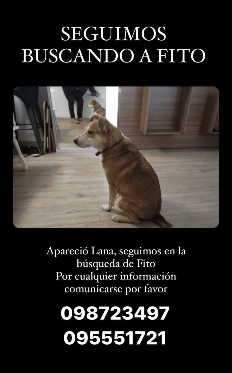 Update: apareció Lana. 
Seguimos buscando a Fito ! 

Retweet porfa !