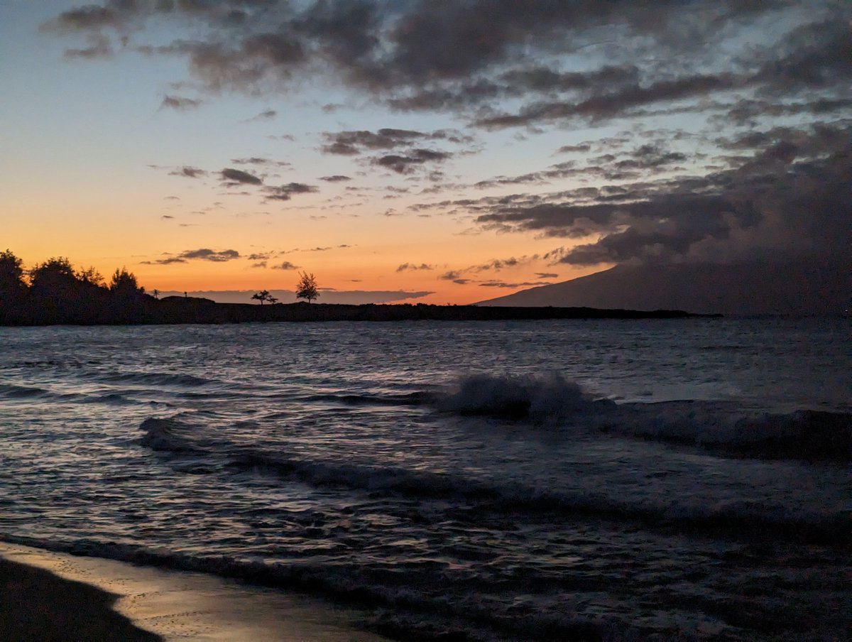 Homegrown (Embodied) J tweet media