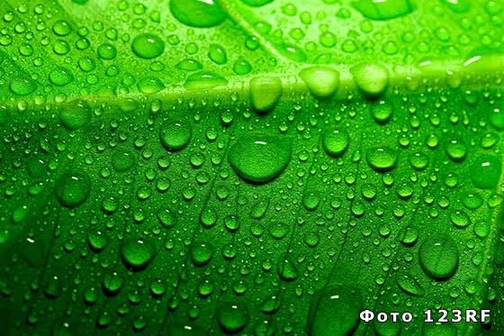 Narpati C Pareek 🇮🇳 tweet media