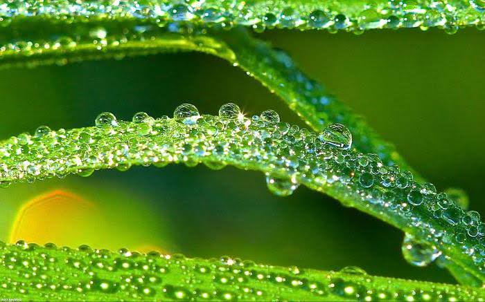 Narpati C Pareek 🇮🇳 tweet media