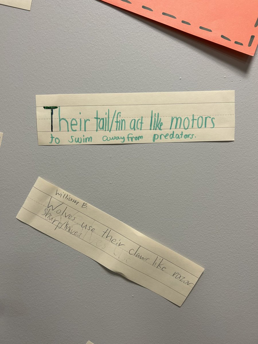 Megan Weerts tweet media