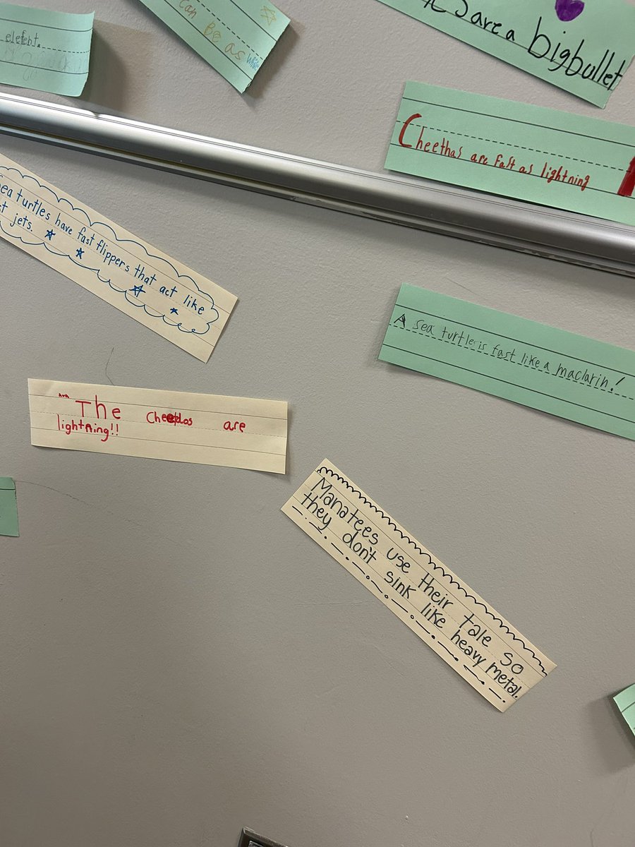 Megan Weerts tweet media