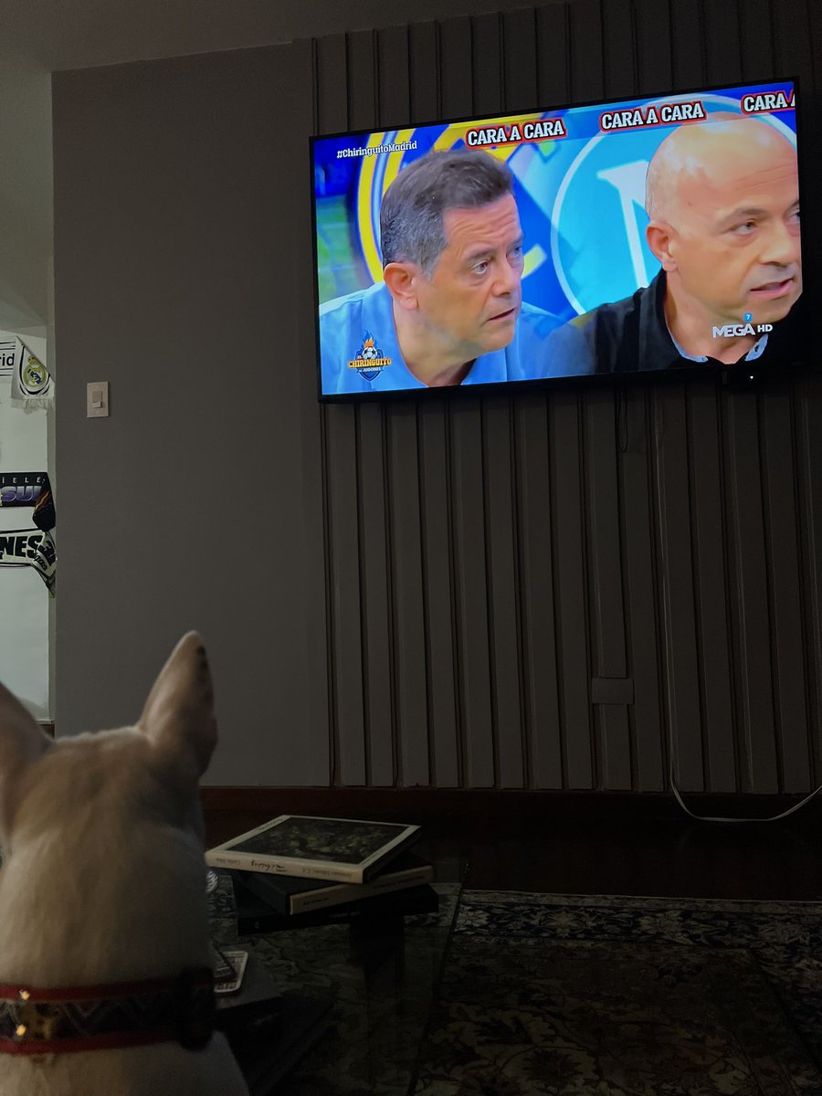 Un Soñador Rebelde tweet media