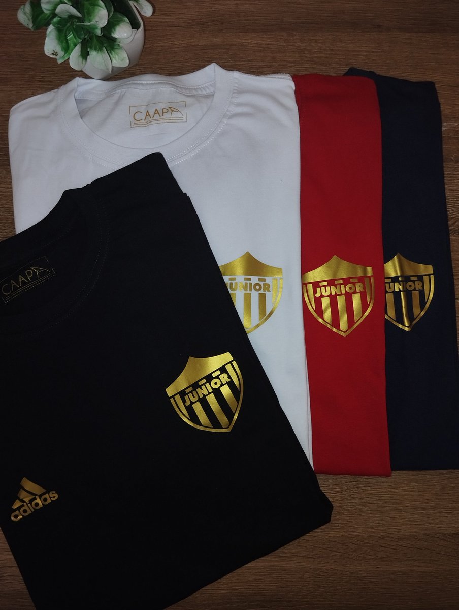 caapa_col's tweet photo. Algodón 100% 

Vinilo textil americano dorado 👌🏽

Todas las tallas y colores disponibles 👕 

$35.000 c/u 

Domicilios Barranquilla y su área metropolitana 🏍️

Envíos a todo el país ✈️

Link WhatsApp para pedidos ⬇️

https://t.co/bgoBvzib7F https://t.co/ztxxbhitAS