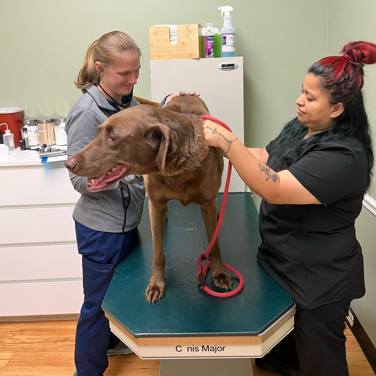uspetfood's tweet photo. Thank you to all the #veterinarians and #VeterinaryTechnicians who work to keep our #pets healthy. ๐งโโ๏ธ๐ฉบ Luna visits the vet regularly for preventive care visits, which are vital for her well-being. https://t.co/iVygJK0VNm #PetHealth https://t.co/HP26Q18JRX