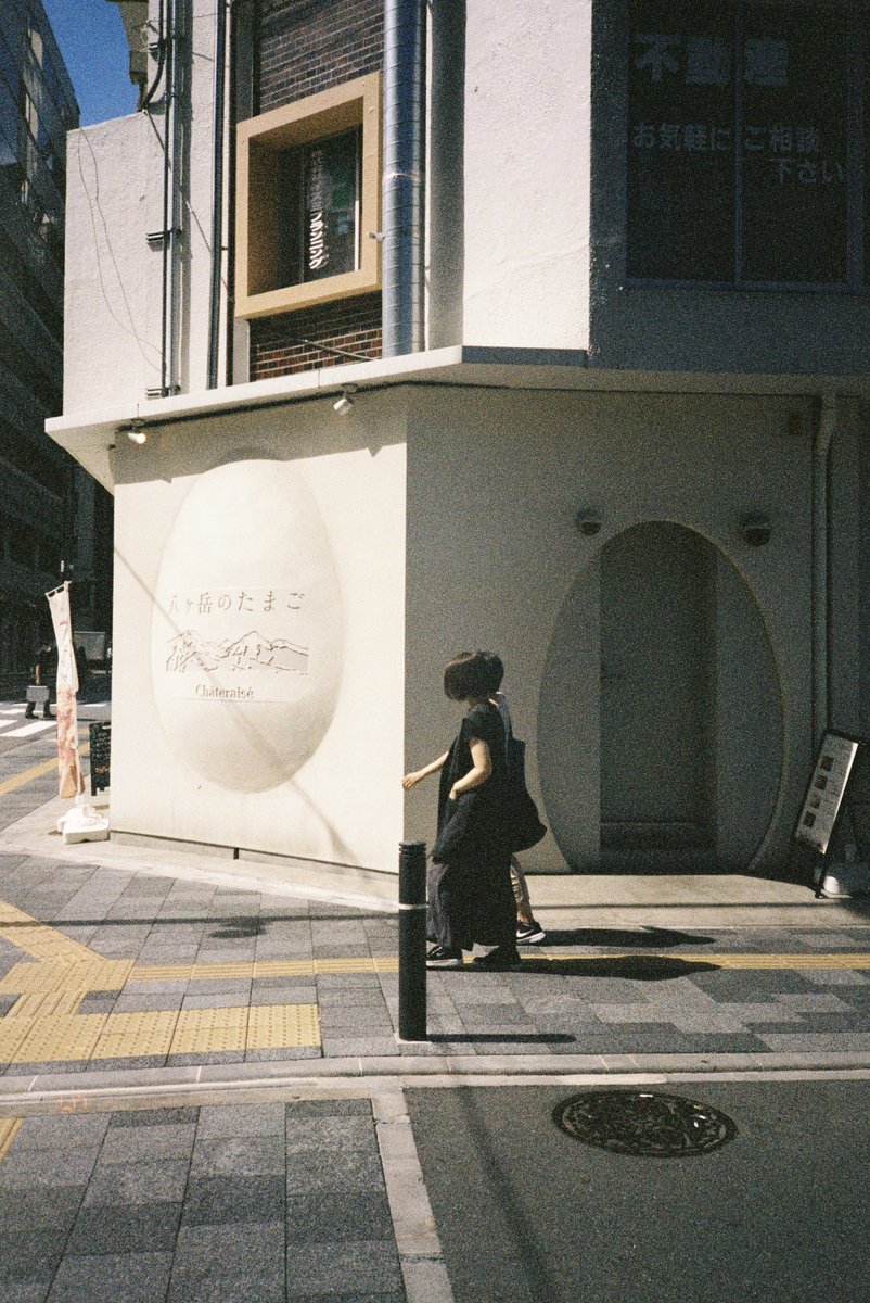 swansindustries's tweet photo. Some recent memories, captured on film.
#yashicat4 https://t.co/xIY1N0Kj71