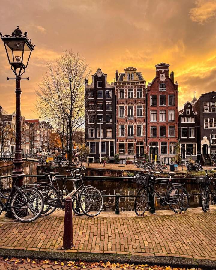 📍Amsterdam, Netherlands 🇳🇱🍁🍂

Autumn in Amsterdam just do something for your soul 🍁🍂

📷by @simon_amste 

#amsterdam #amsterdamhouses #amsterdamcity #amsterdamcanals #amsterdamlife #boathouse #streetphotography #cityphotography #netherlands #holland #visitnetherlands