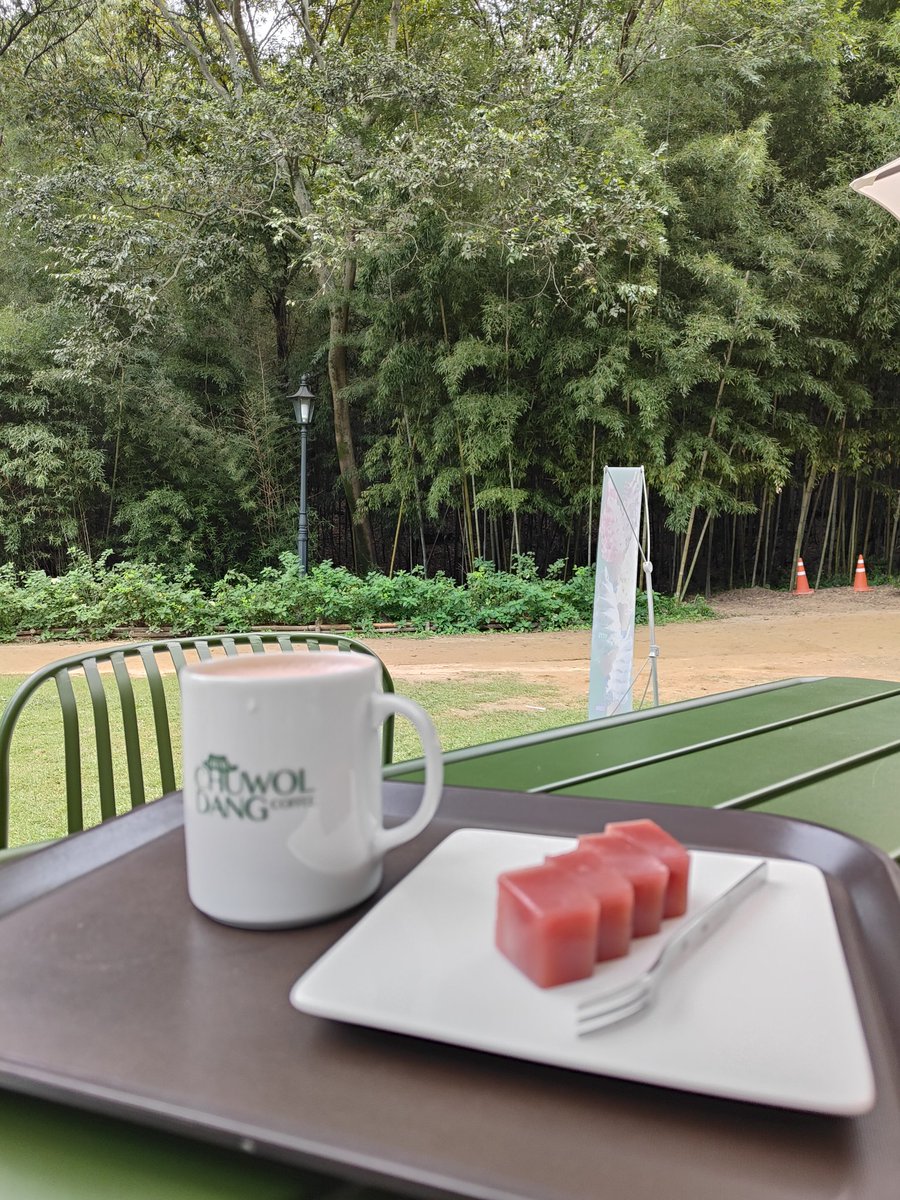 VivaciousVids's tweet photo. Here at the same place where #Jhope was here last year... Though I wanted to try the same bamboo jelly, it wasn't in stock so I settled with strawberry jelly and choco latte. #bambooforest #damyang https://t.co/6qwPlxAsT7