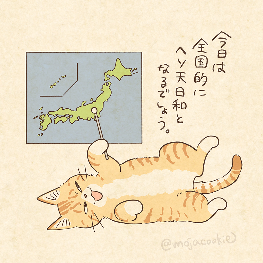 猫の気象予報士さん