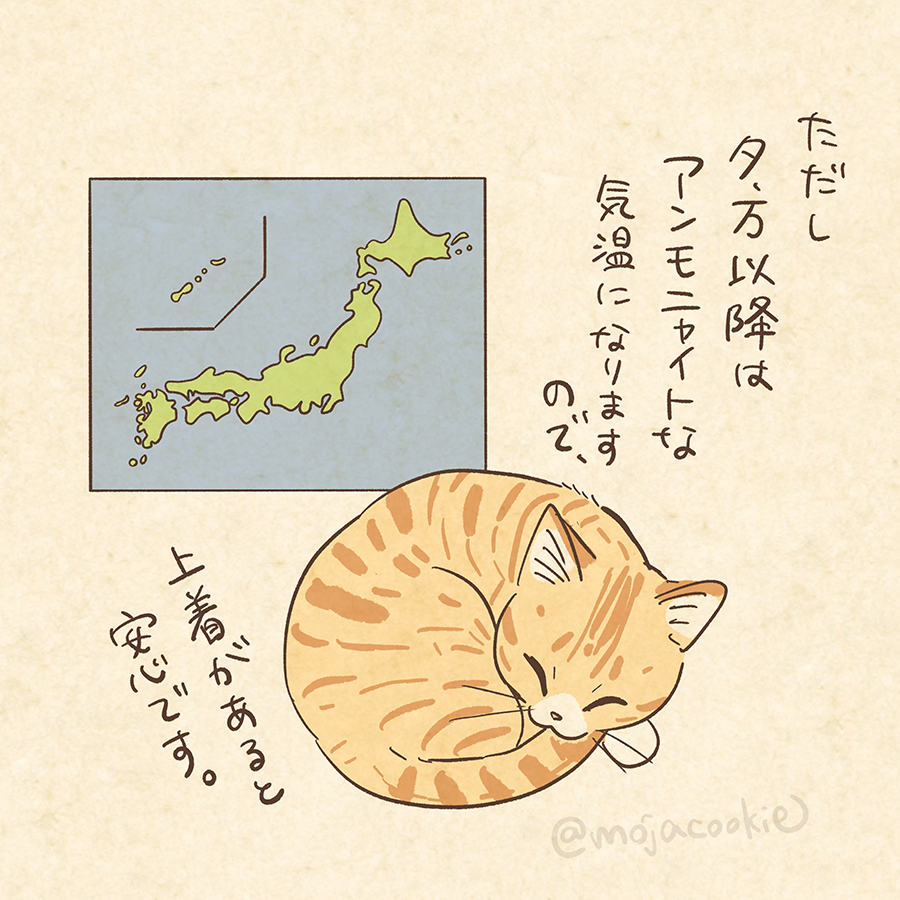 猫の気象予報士さん
